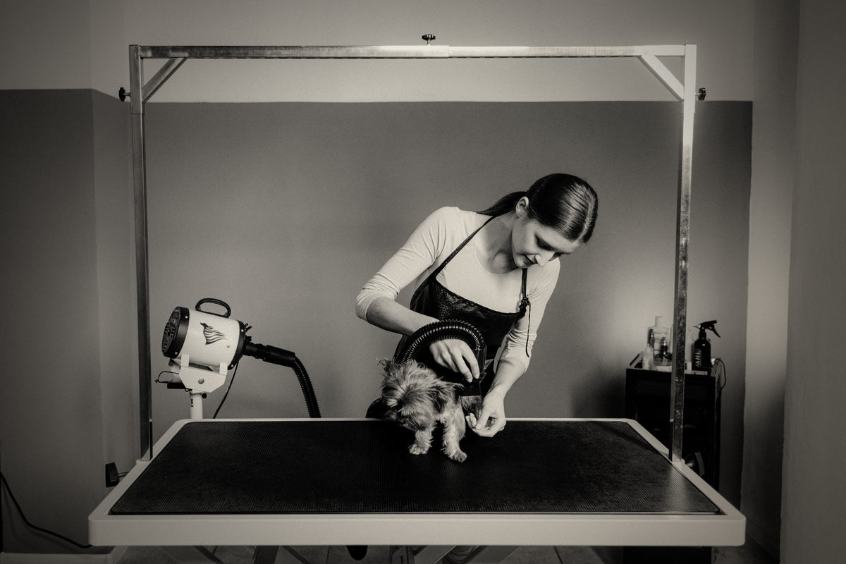 Foldable Grooming Table with Arm