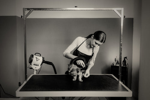 Foldable Grooming Table with Arm