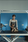 Foldable Grooming Table with Arm — The Canine Co.