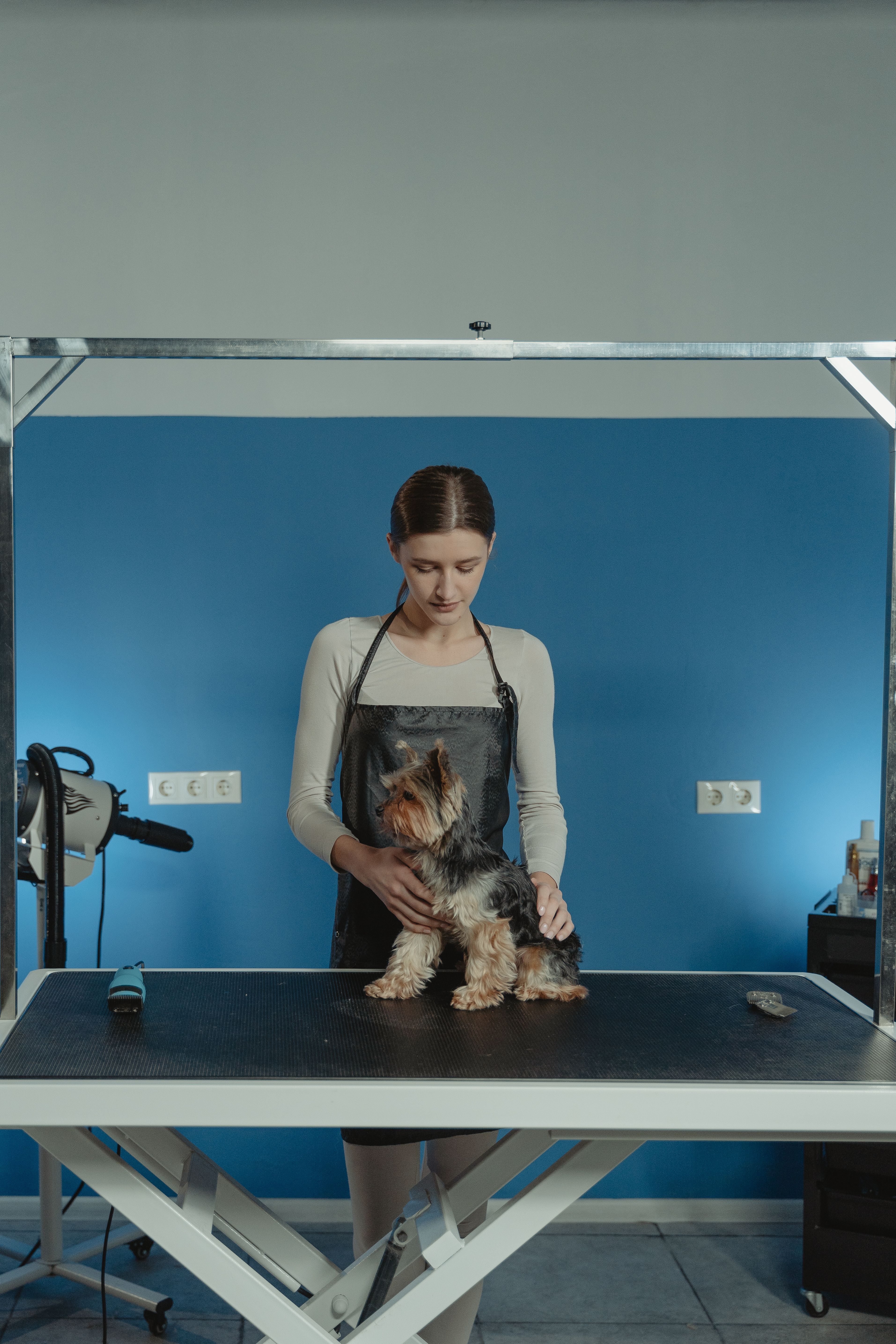 Foldable Grooming Table with Arm — The Canine Co.