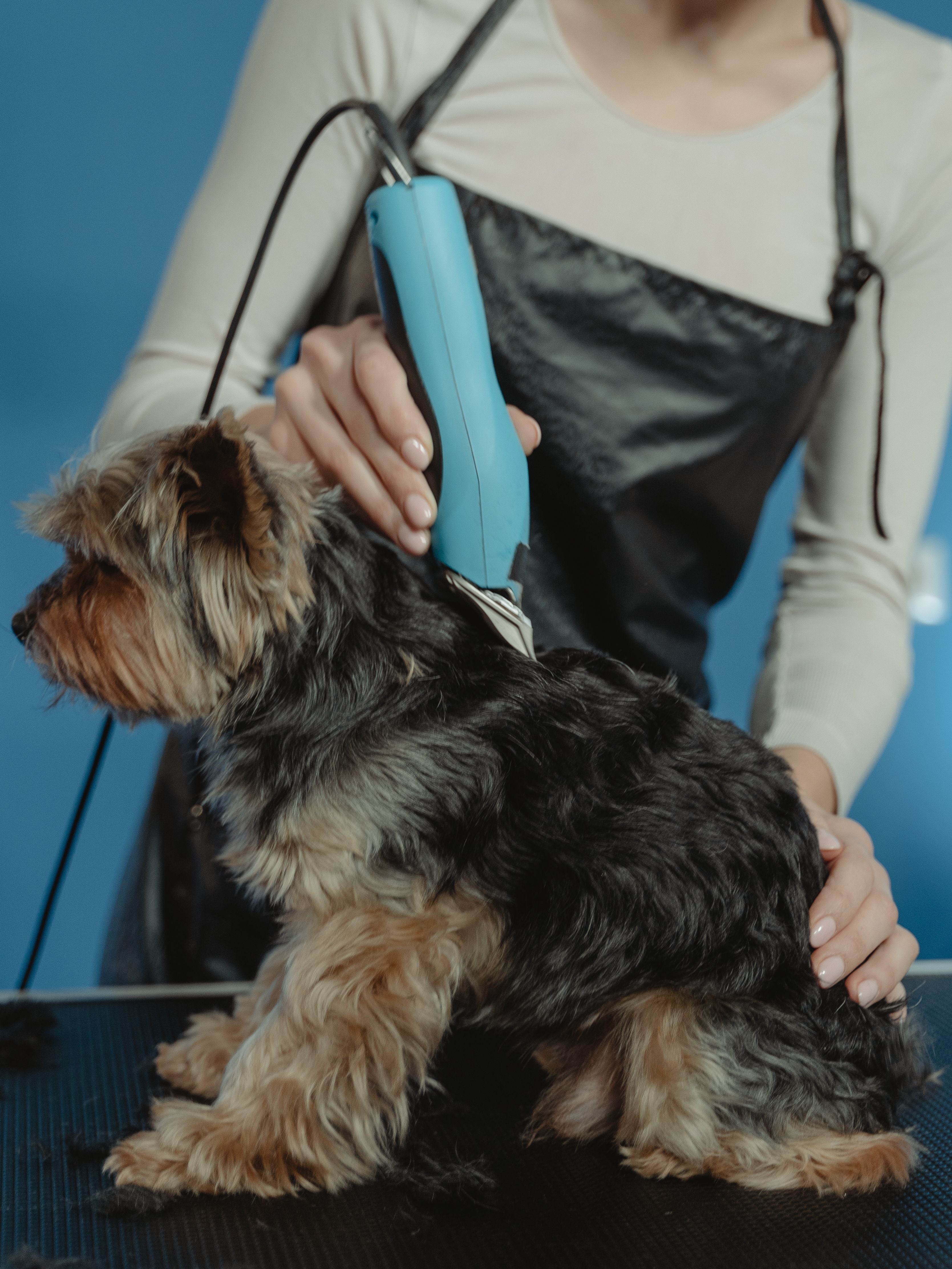 Professional Cordless Dog Clippers — The Canine Co.