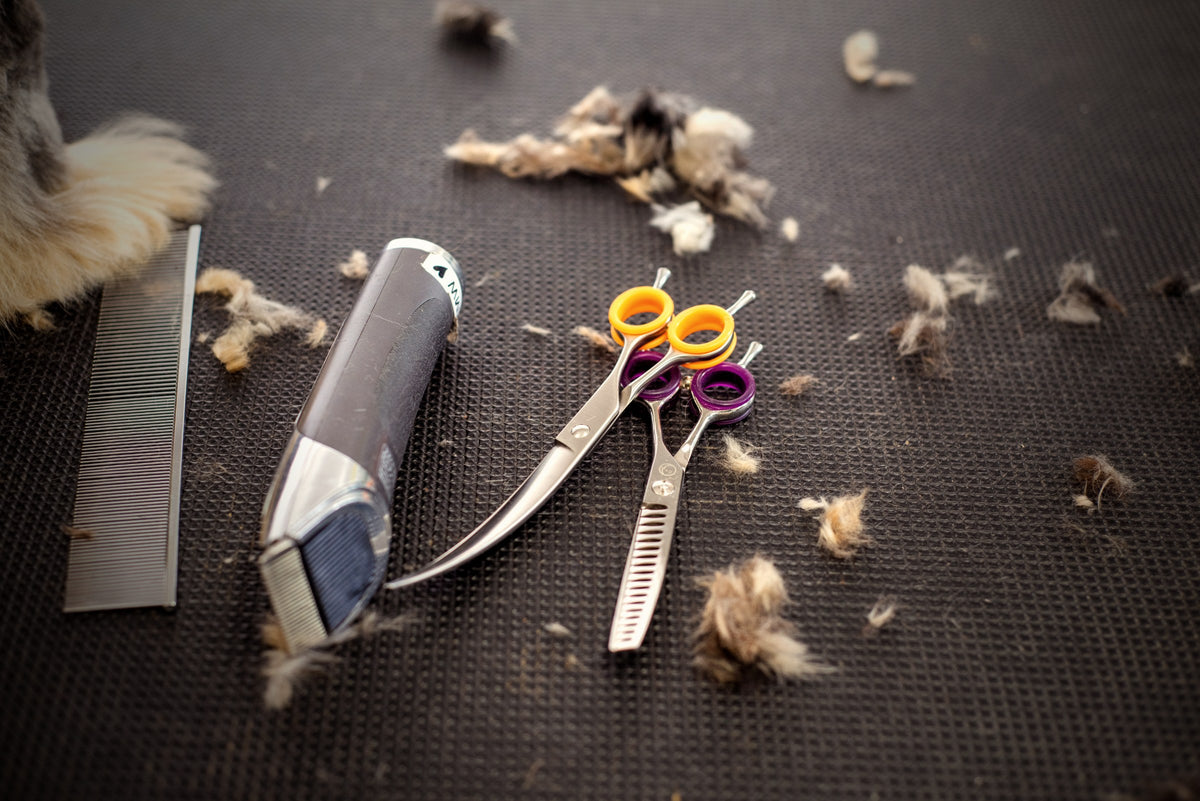 De-Shedding Undercoat Rake